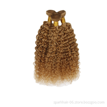 Ombre 27 Kinky Curly Hair 3 Bundles Brazilian Human Hair 1/3/4 Pcs 1B Brwon Red Burg Remy Curly Hair Weaving Bundles
